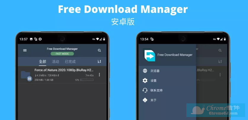 free download manager(安卓版)