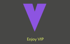 VIP马甲