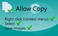 Allow Copy:解决网页无法复制文字
