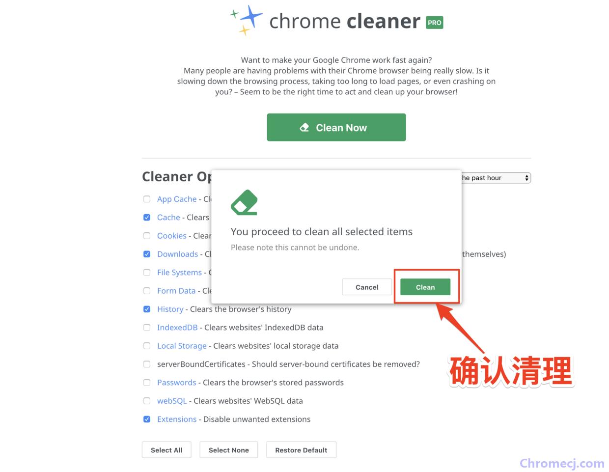Chrome Cleaner Pro插件使用方法