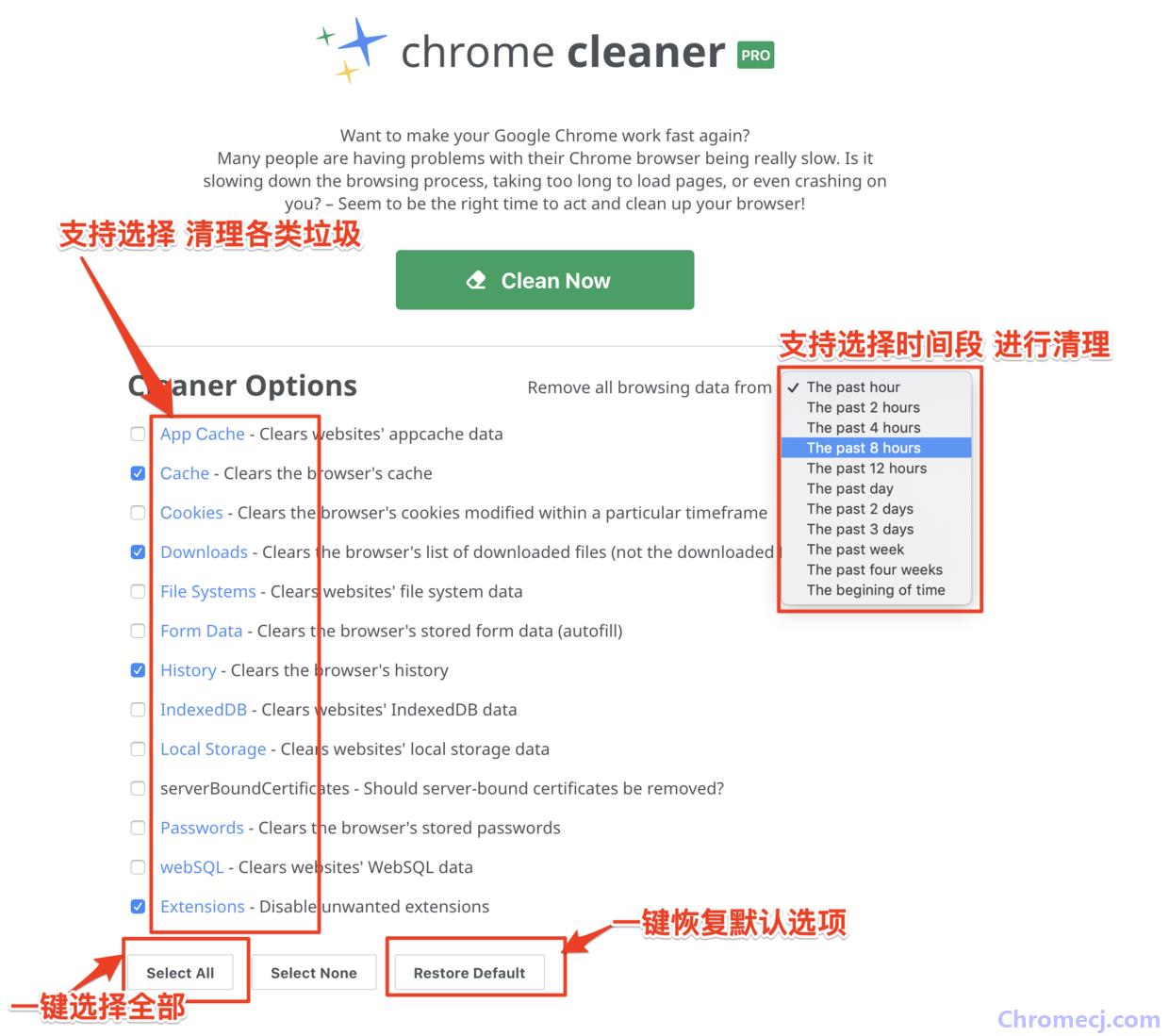 Chrome Cleaner Pro丰富的选项
