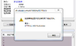 IDM下载提示：服务器响应显示您没有权限下载此文件的解决方法