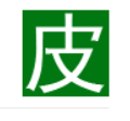 豆瓣皮插件 - 豆瓣电影下载器