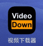Video Down - 视频下载器