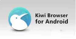 Kiwi Browser - 可以安装chrome插件的安卓浏览器