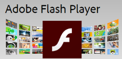 Adobe Flash Player:轻量级flash插件（win8/win10 chrome内核）