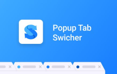 Popup Tab Switcher - 快速切换网页标签插件
