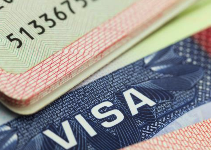 Visa List - 旅行查询护照签证必备