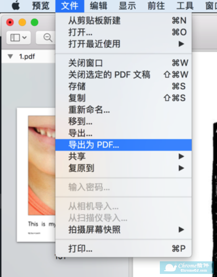 Mac上合并两个 PDF