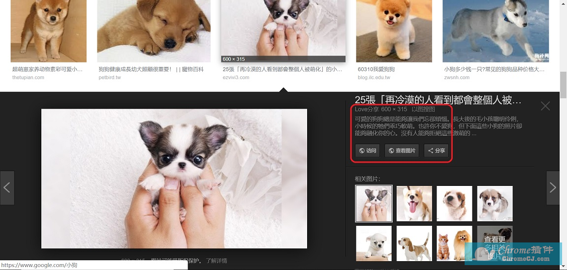 谷歌图片搜索查看图片扩展-View Image 谷歌图片搜索查看图片扩展-View Image