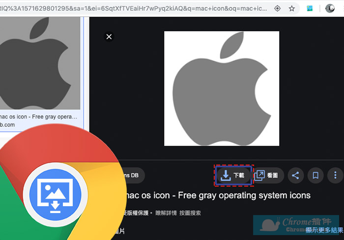View Image & Download Image for Google Search插件安装使用