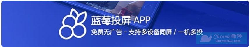 蓝莓投屏APP简介