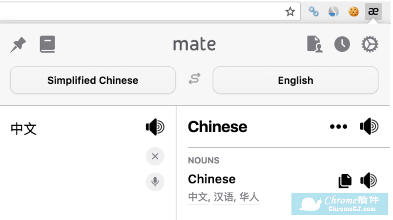 mate translate extension