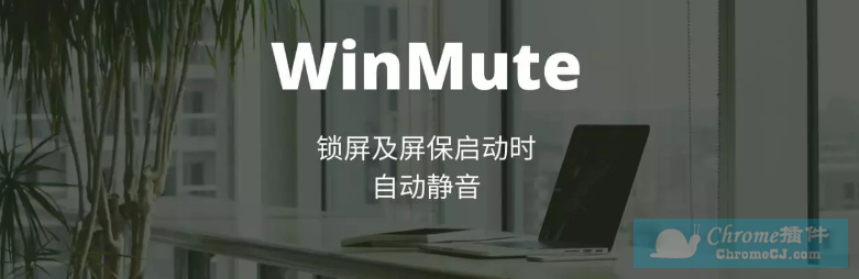 WinMute软件简介