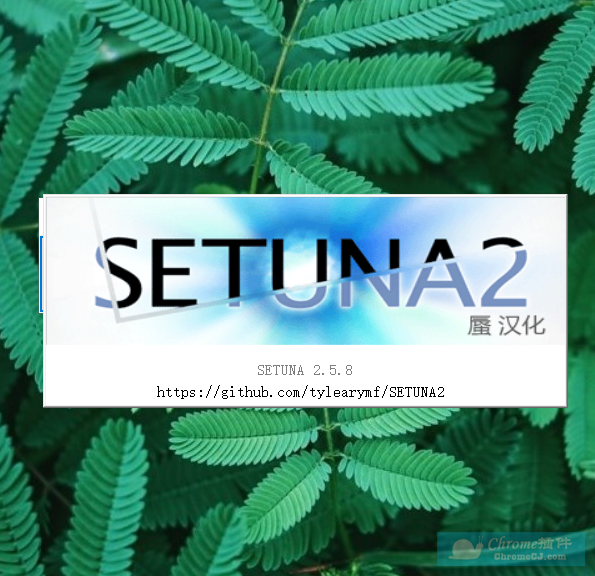 SETUNA2软件使用方法