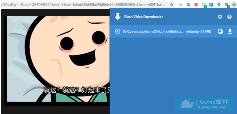 Flash Video Downloader插件安装使用