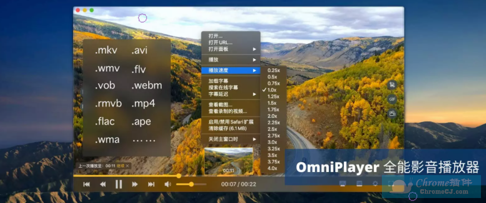 OmniPlayer软件简介