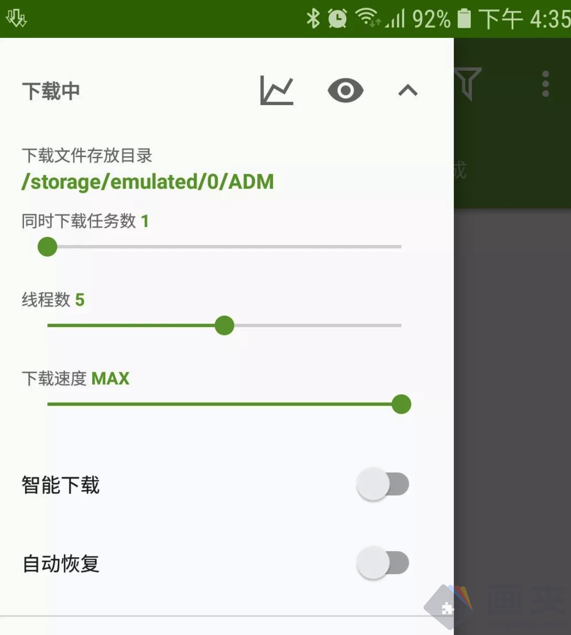 ADM下载器（Advanced Download Manager）